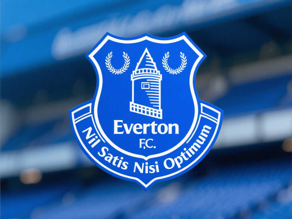 解析德甲联 解析德甲联