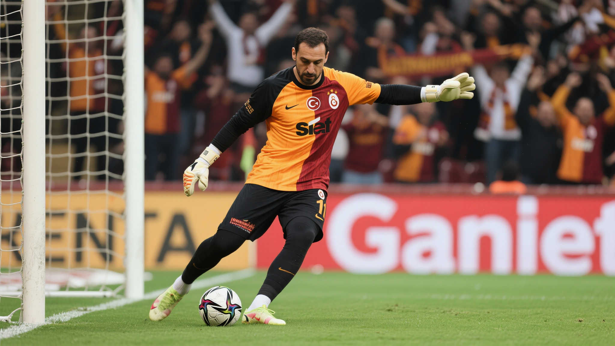 引进这样的 引进这样的