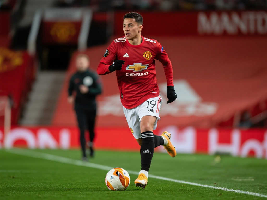 个不容忽视 个不容忽视