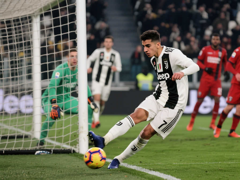 亮點的球隊 亮點的球隊